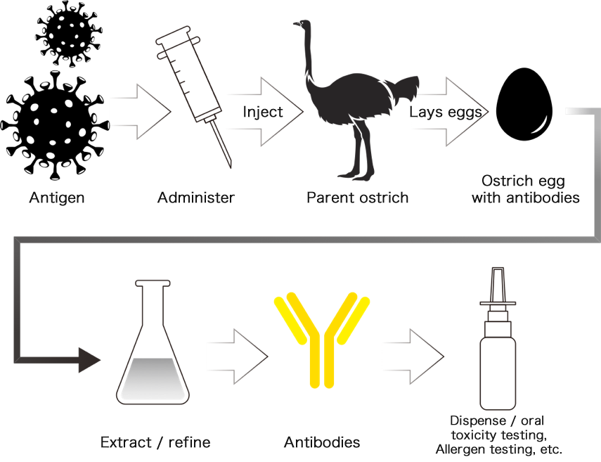 CORONA PROTECTION / ダチョウ抗体鼻腔スプレーとは